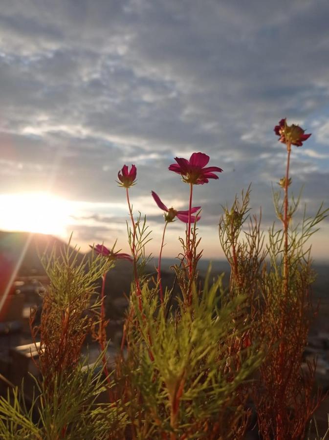 Merdin Boutique Hotel 마르딘 외부 사진